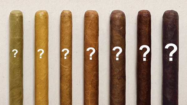 Вспоминаем 5 лучших сигар 2020 года (и находим им гастропары)
