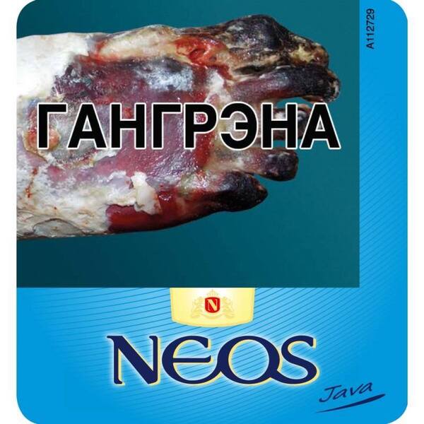 Сигариллы Neos Java Mini